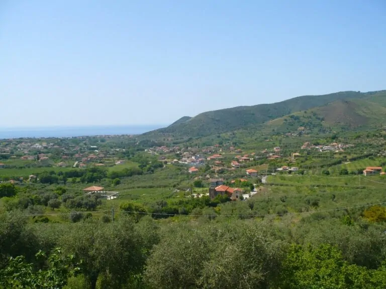 Alano Alano