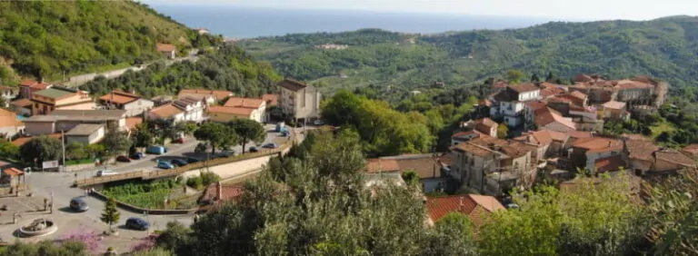 acquavella acquavella