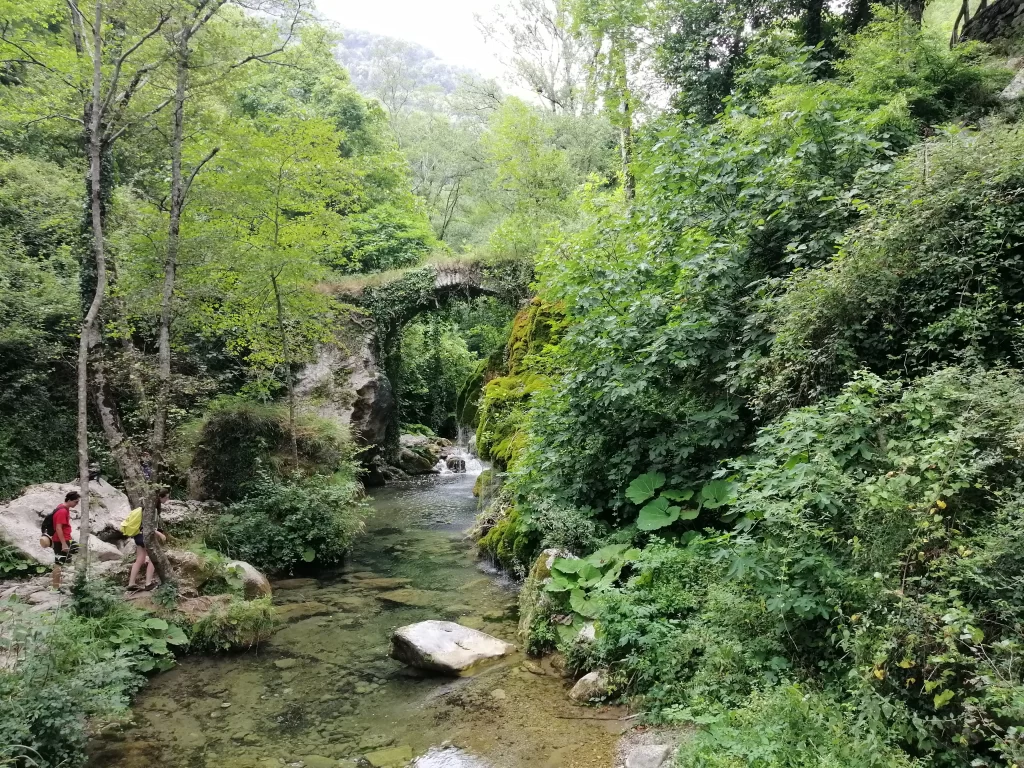 Oasi Capelli di Venere Oasi Capelli di Venere