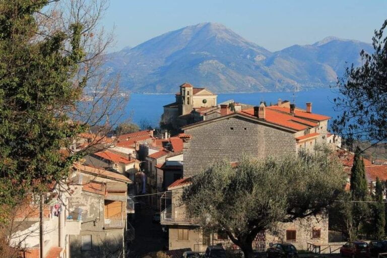 bosco - san giovanni a piro