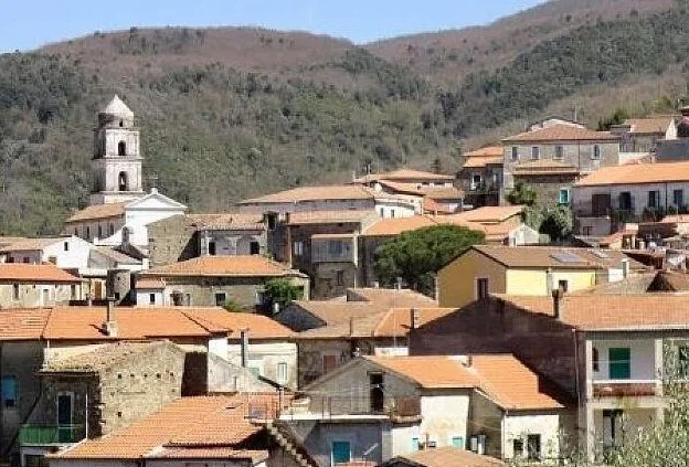 camella panorama camella panorama