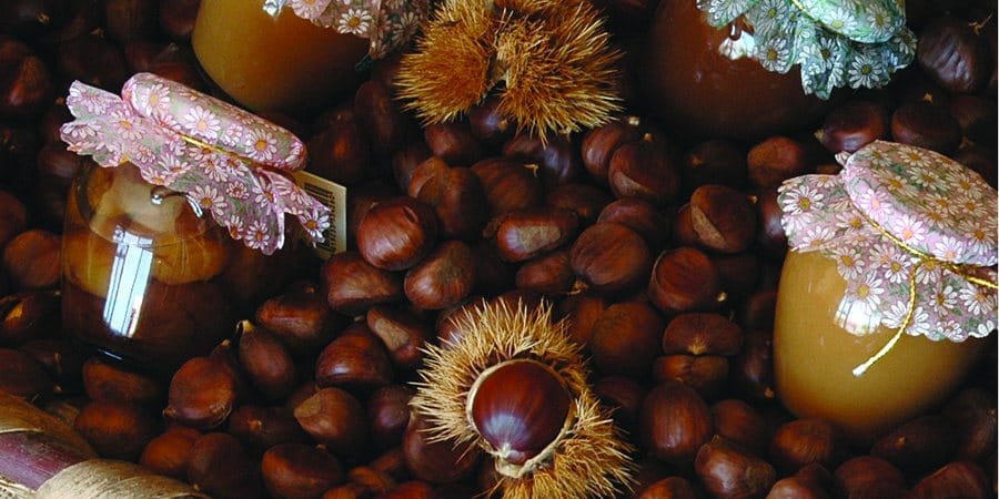 Marroni e ricci di castagno con barattoli di crema di castagne dai coperchi in stoffa a fiori