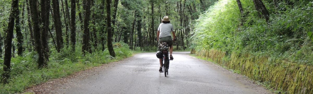 Tappa 14: Da Ceraso a Novi Velia per il Monte Gelbison – La Via Silente