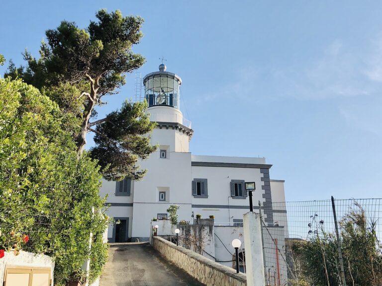 Il faro di Capo Palinuro: la torre bianca con la lanterna sopra l'edificio dei fanalisti, tra i pini