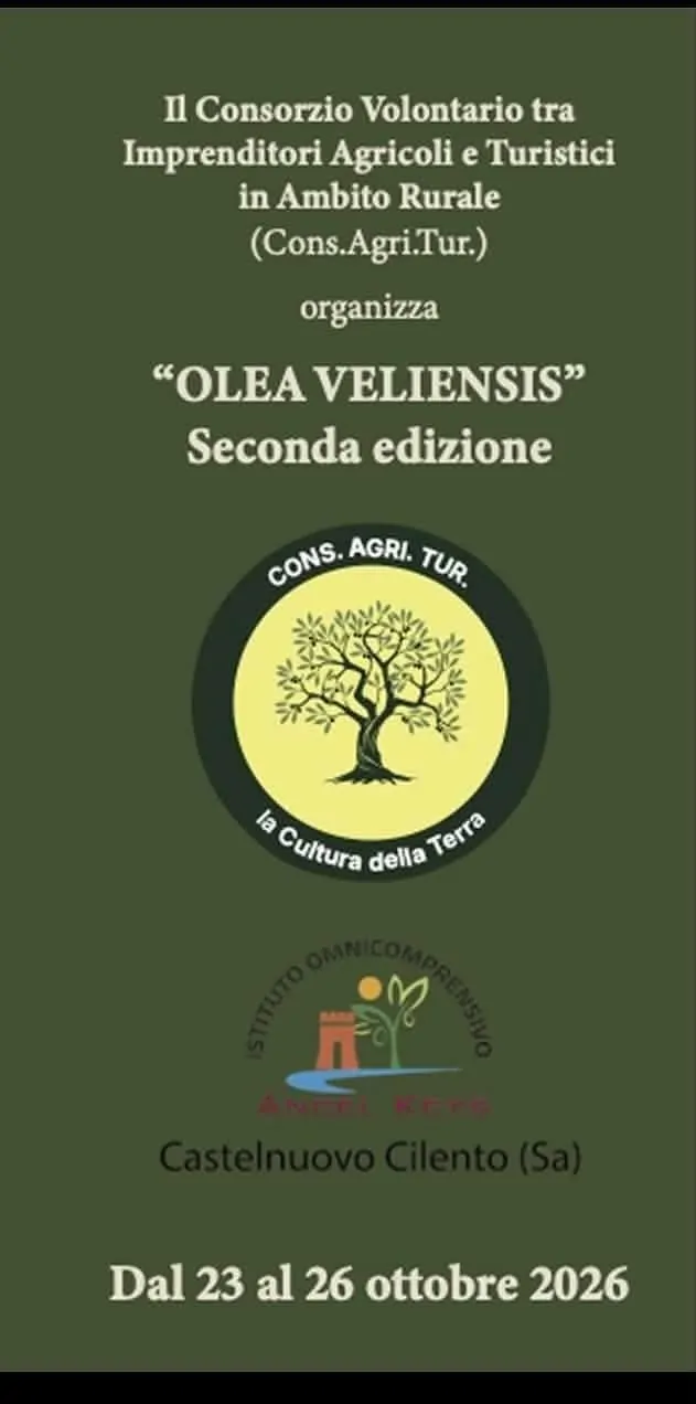 Olea Veliensis a Castelnuovo Cilento